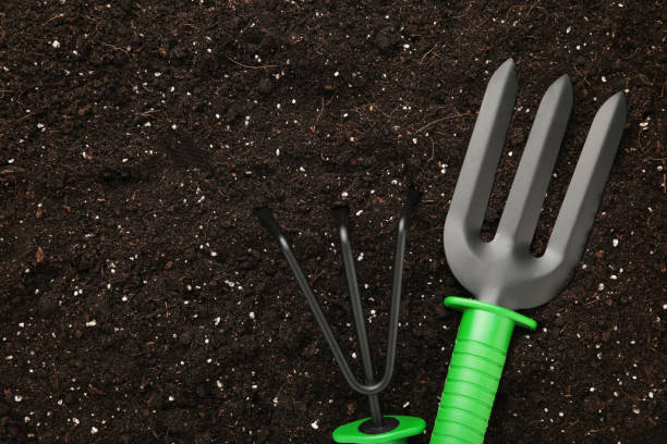 istock Set of plant care utensils on soil with copy space 1209643180
