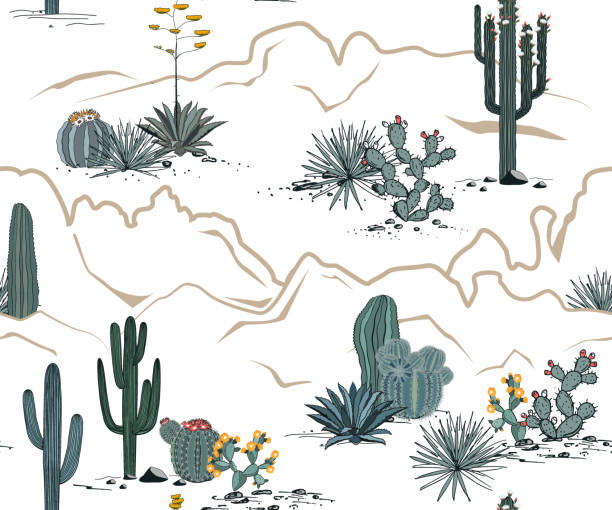 Desert seamless pattern with mountains, blooming cacti, opuntia, and saguaro. Vector background. Desert seamless pattern with mountains, blooming cacti, prickly pear, blue agave, and saguaro. Vector background. yucca stock illustrations