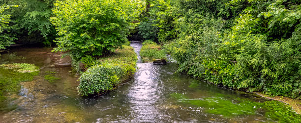 istock River Test in Mottisfont, Hampshire, United Kingdom 1209650185