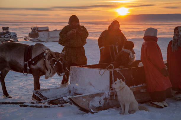 yamal, area aperta, tundra, l'estremo nord, donne in abiti nazionali. - cold discussion outdoors snow foto e immagini stock