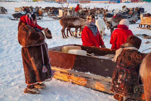 yamal, area aperta, tundra, l'estremo nord, donne in abiti nazionali. - cold discussion outdoors snow foto e immagini stock