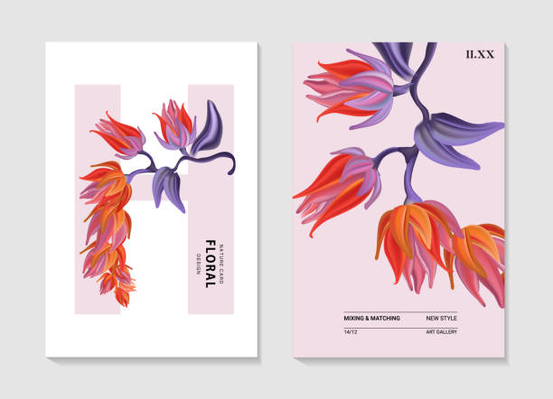 Lobster Claw Heliconia realistic nature print. Watercolor flower illustration, modern Ux Ui poster, summer exotic tropical plant frame design. Purple nature romantic greeting Lobster Claw Heliconia realistic nature print. Watercolor flower illustration, modern Ux Ui poster, summer exotic tropical plant frame design. Purple nature romantic greeting. heliconia stock illustrations