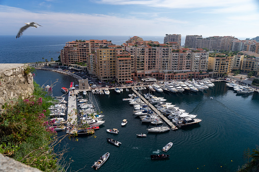 Panorama of Monaco harbour with yachts at Mediterranean Sea in summer