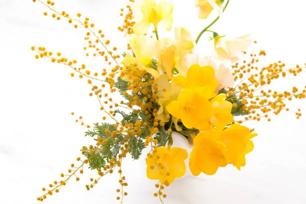 Mimosa, freesia and sweetpea flowers bunch isolated on white background