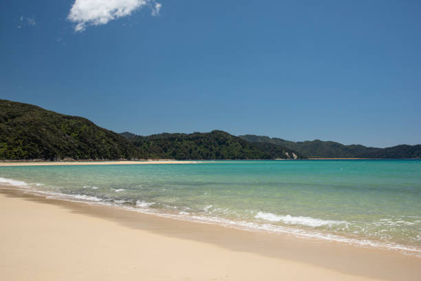 istock Abel Tasman National Park 1209655584