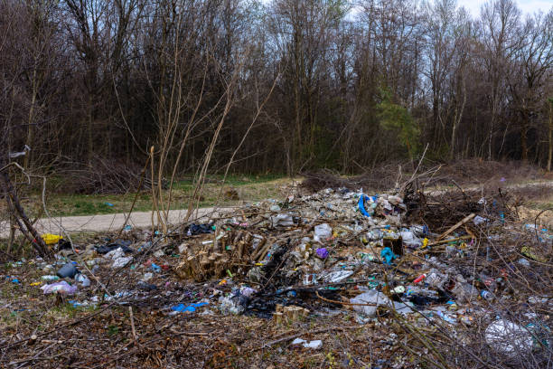 istock Modern civilization leaves behind huge mountains and heaps of garbage, which covers the ecology of forests and fields, poisons the earth and water. 1209655625