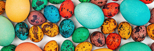 istock Stylish background with colorful quail, easter eggs with copy space for text isolated on white background. Flat lay, top view, mockup, overhead, template 1209658006