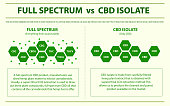 full-spectrum-vs-cbd-isolieren-sie-horizontale-infografik.jpg?b=1&s=170x170&k=20&c=n8sMbsz1rDos3Se9TBEOb-8-FUK-w0RgQ5XypKa_5Xw=
