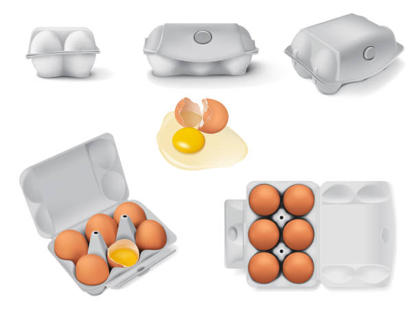 Set of Egg Box with Chicken Eggs, Carton Pack or Egg Container Set of egg boxes with six whole brown eggs and one broken egg realistic 3d vector illustration. Fresh organic chicken eggs in cartons pack or egg containers egg carton stock illustrations