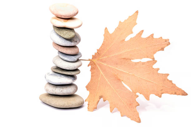 Photo of Spa balance Stones with Maple Leaf isolated on white