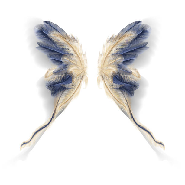 istock Butterfly wings with feathers. Modern  abstract art Golden Feather. 1209662117