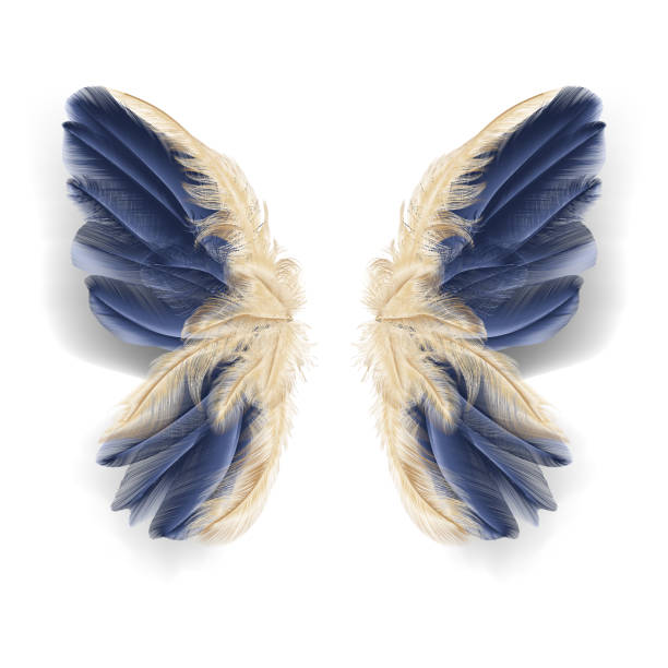 istock Butterfly wings with feathers. Modern  abstract art Golden Feather. 1209662125