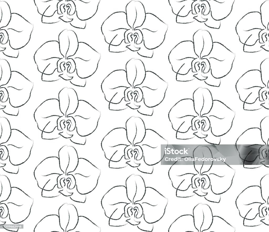 Delicate Line Pattern Delicate Line Drawing Vector Floral Seamloess Pattern Stock ...