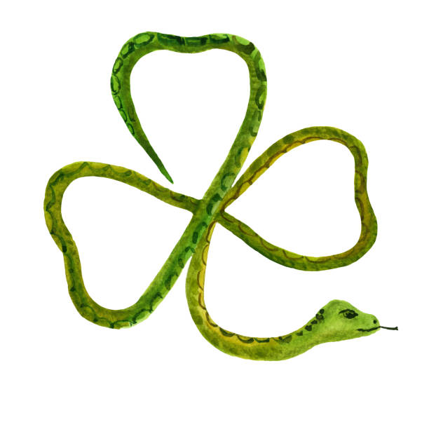 ilustraciones, imágenes clip art, dibujos animados e iconos de stock de serpiente verde en forma de shamrock - european adder illustrations