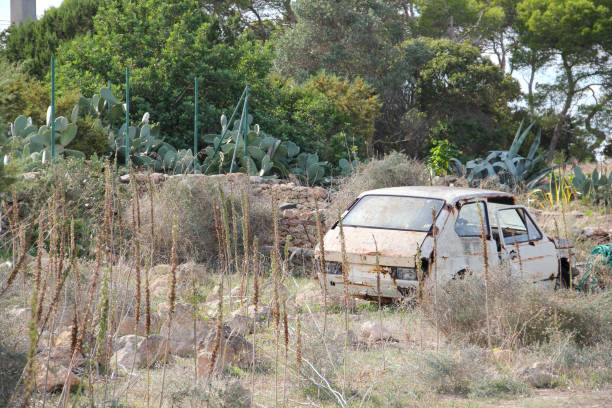 istock wracked car in the garden 1209664267