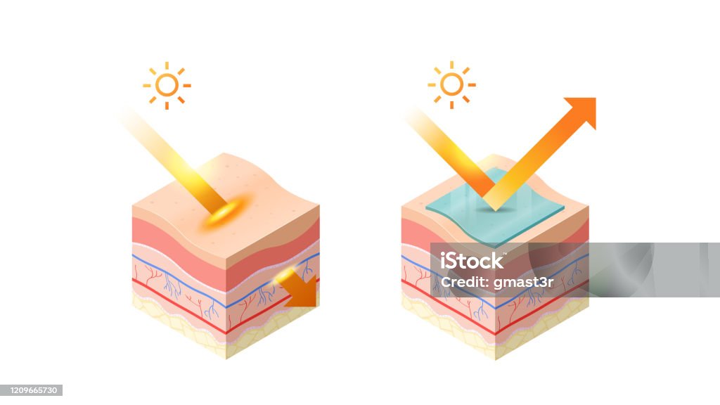Ilustración de Proteger Y Penetrar Los Rayos Uv Del Sol En La Epidermis De La Sección Transversal De La Piel De Las Capas De La Piel Humana Estructura Skincare Concepto Médico Plano Ilustración de Proteger Y Penetrar Los Rayos Uv Del Sol En La Epidermis De La Sección Transversal De La Piel De Las Capas De La Piel Humana Estructura Skincare Concepto Médico Plano