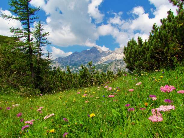 istock Scenic view of mountain Triglav 1209666730