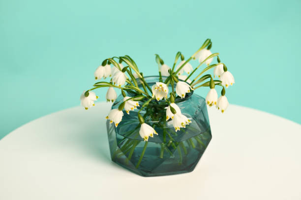 Bouquet of first spring flowers on light green background