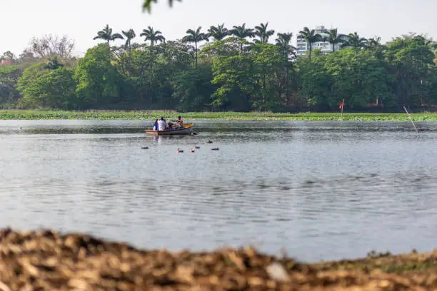 A group of unrecognisable four people is boating on Karanji Lake at the end of the afternoon, Mysore, India