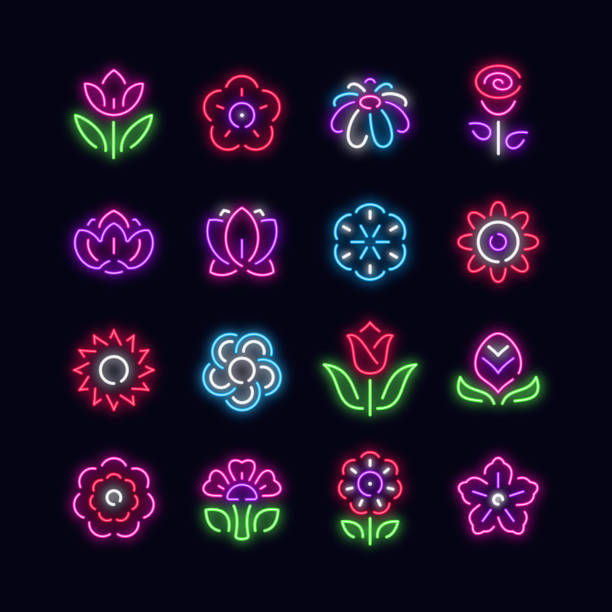ilustraciones, imágenes clip art, dibujos animados e iconos de stock de iconos vectoriales de neón de flores - sunflower flower flower bed light