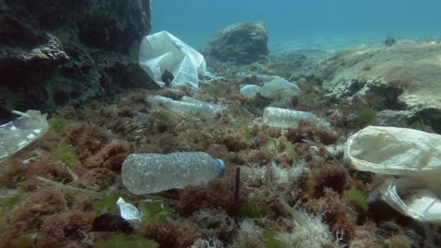 Slow motion. Plastic pollution of the ocean bottom. Bottles, bags and other plastic debris on seabed. Tropical fishes swims over the sea bottom covered with a lot of plastic garbage. Movement forward.