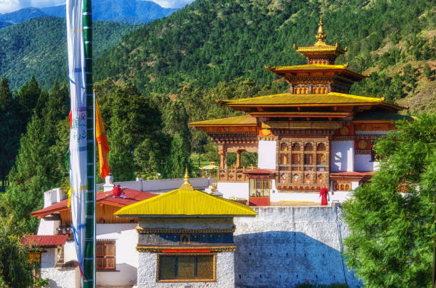 istock The Punakha Dzong details. 1209675246