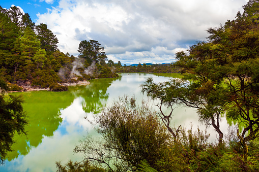Wai-O-Tapu Geyser Park. Volcanic Valley Waimangu. New Zealand, North Island. Inferno Crater Lake is a large hot spring and bright green water. The concept of exotic, ecological and photo tourism