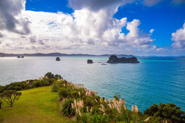 istock Road to the Cathedral Cove 1209677505