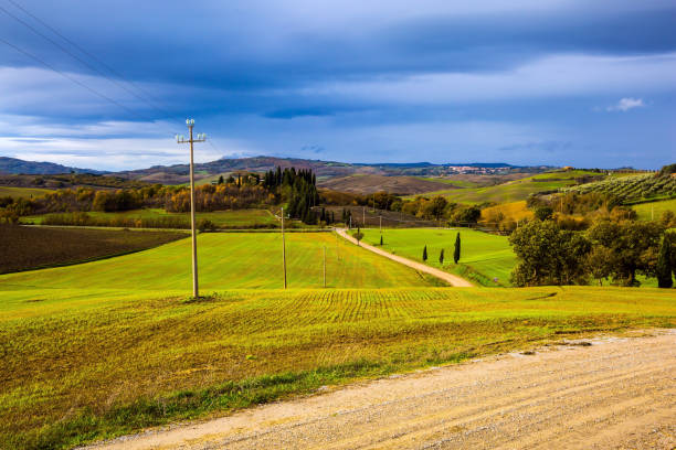 istock Dirt road runs through the hills 1209677525