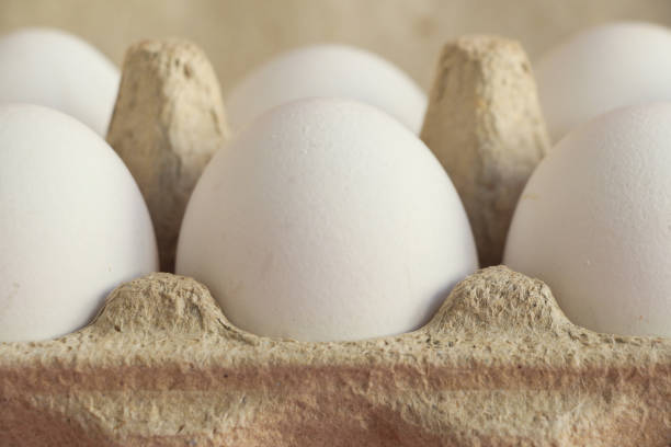 istock White eggs in recycled paper box 1209678133