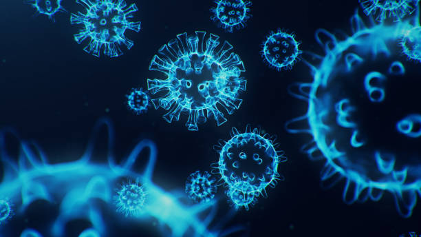 istock 3D illustration Coronavirus concept under the microscope. Spread of the virus within the human. Epidemic, pandemic affecting the respiratory tract. Fatal viral infection. 1209679050