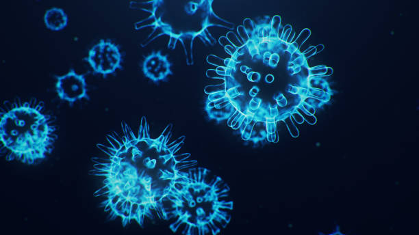 istock 3D illustration Coronavirus concept under the microscope. Human cells, the virus infects cells. Epidemic, pandemic affecting the respiratory tract. Fatal viral infection. 1209679056
