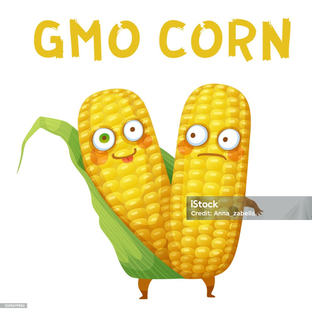 Gmo Corn Vegetable Illustration Cartoon Vector Funny Corn Character Icon  Isolated On White Background Stock Illustration - Download Image Now -  iStock