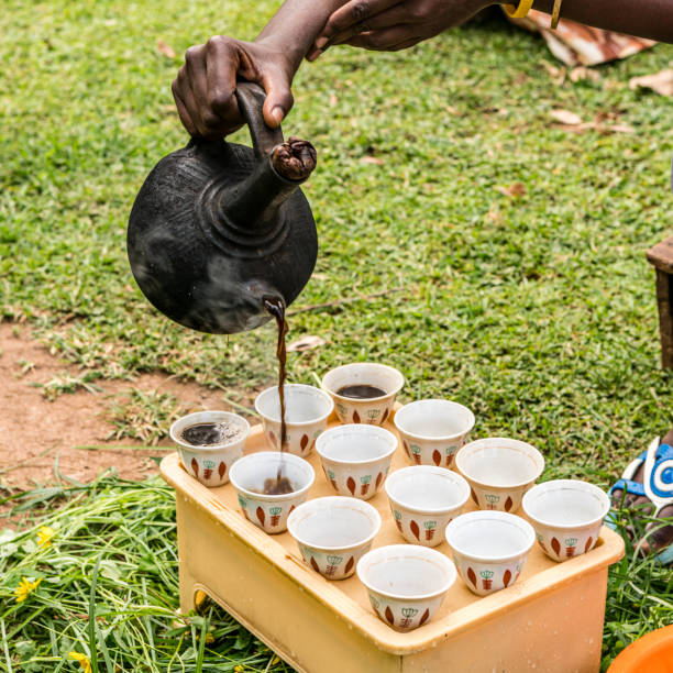 istock Pouring coffee in Ethiopia 1209681787