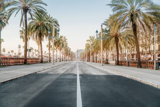 alba di barcellona in strada - viale foto e immagini stock