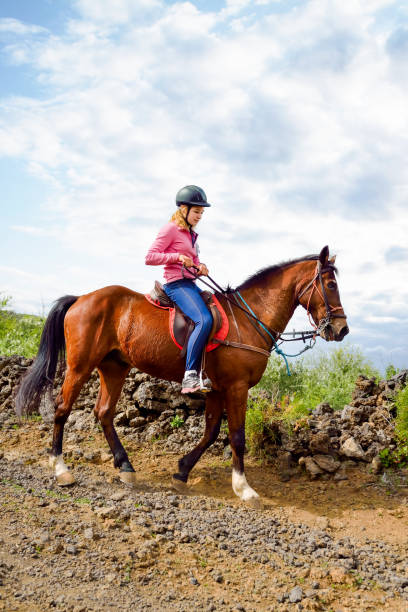 istock young rider on horseback ride in lush nature 1209683387