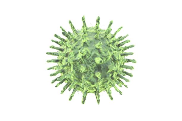 3d illustration: The green virus cell with yellow spots. Abstract model of coronavirus 2019. On white background isolated. 3d illustration: The green virus cell with yellow spots. Abstract model of coronavirus 2019. On white background isolated. killercell stock pictures, royalty-free photos & images