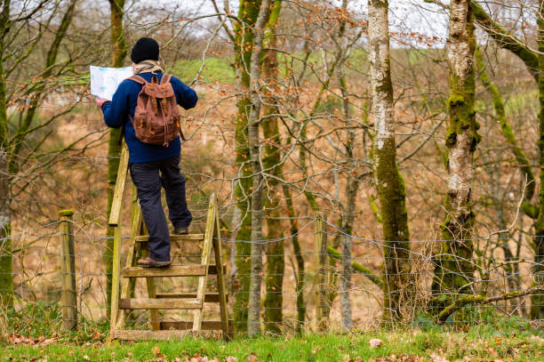 Active senior man dressed for winter standing on a stile while looking at a map One active senior man out walking with a rucksack in a rural setting.
The man is dressed for a cold winter day and is out and about in a non urban area of Dumfries and Galloway, south west Scotland.
He is standing on a weathered stile looking at a map before entering an area of deciduous woodland. life stile stock pictures, royalty-free photos & images