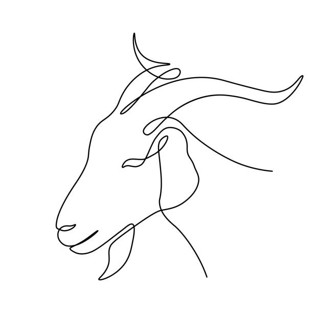 Goat head Goat head in continuous line art drawing style. Capricorn minimalist black linear sketch isolated on white background. Vector illustration capricorn stock illustrations