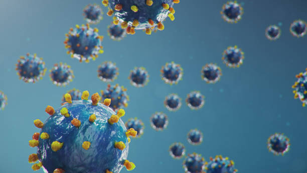 istock 3D illustration Coronavirus concept under the microscope. Spread of the virus within the human. Epidemic, pandemic affecting the respiratory tract. Fatal viral infection. 1209686010
