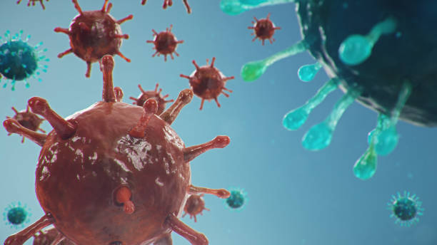 istock 3D illustration Coronavirus concept under the microscope. Spread of the virus within the human. Epidemic, pandemic affecting the respiratory tract. Fatal viral infection. 1209686025