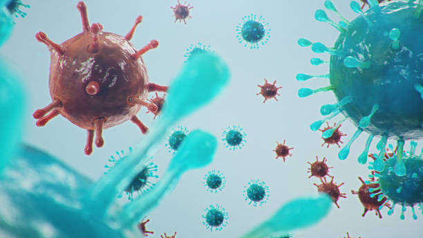 istock 3D illustration Coronavirus concept under the microscope. Spread of the virus within the human. Epidemic, pandemic affecting the respiratory tract. Fatal viral infection. 1209686036