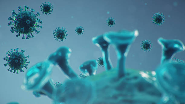 istock 3D illustration coronavirus concept under the microscope. Spread of the virus within the human. Epidemic, pandemic affecting the respiratory tract. Fatal viral infection. 1209686039