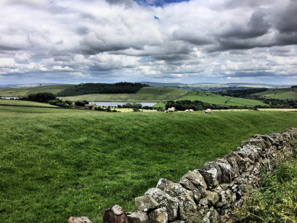 a view of the pennines near pendle - pendle imagens e fotografias de stock