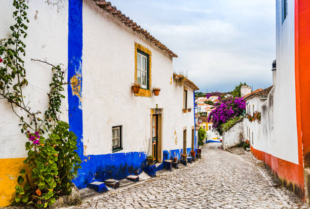 View on Narrow White Blue Street in Mediieval City Obidos Portugal Narrow White Blue Street in Mediieval City Obidos Portugal obidos photos stock pictures, royalty-free photos & images
