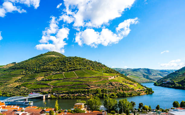 view on landscape of douro vineyards, pinhao, portugal - douro imagens e fotografias de stock