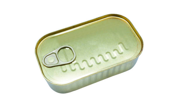 istock can of fish or meat isolated 1209694270