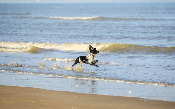 istock landscapes of Normandy 1209695334