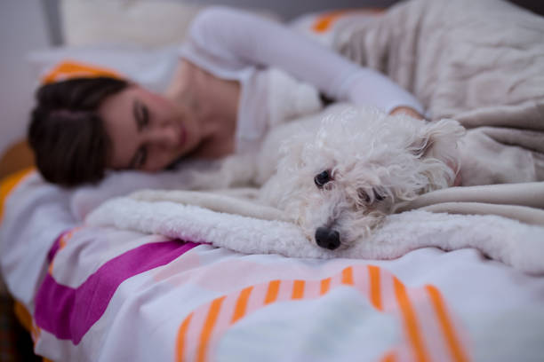 istock Young woman with her dog in a bed. 1209695454