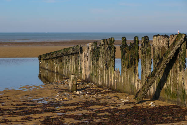 istock landscapes of Normandy 1209695616